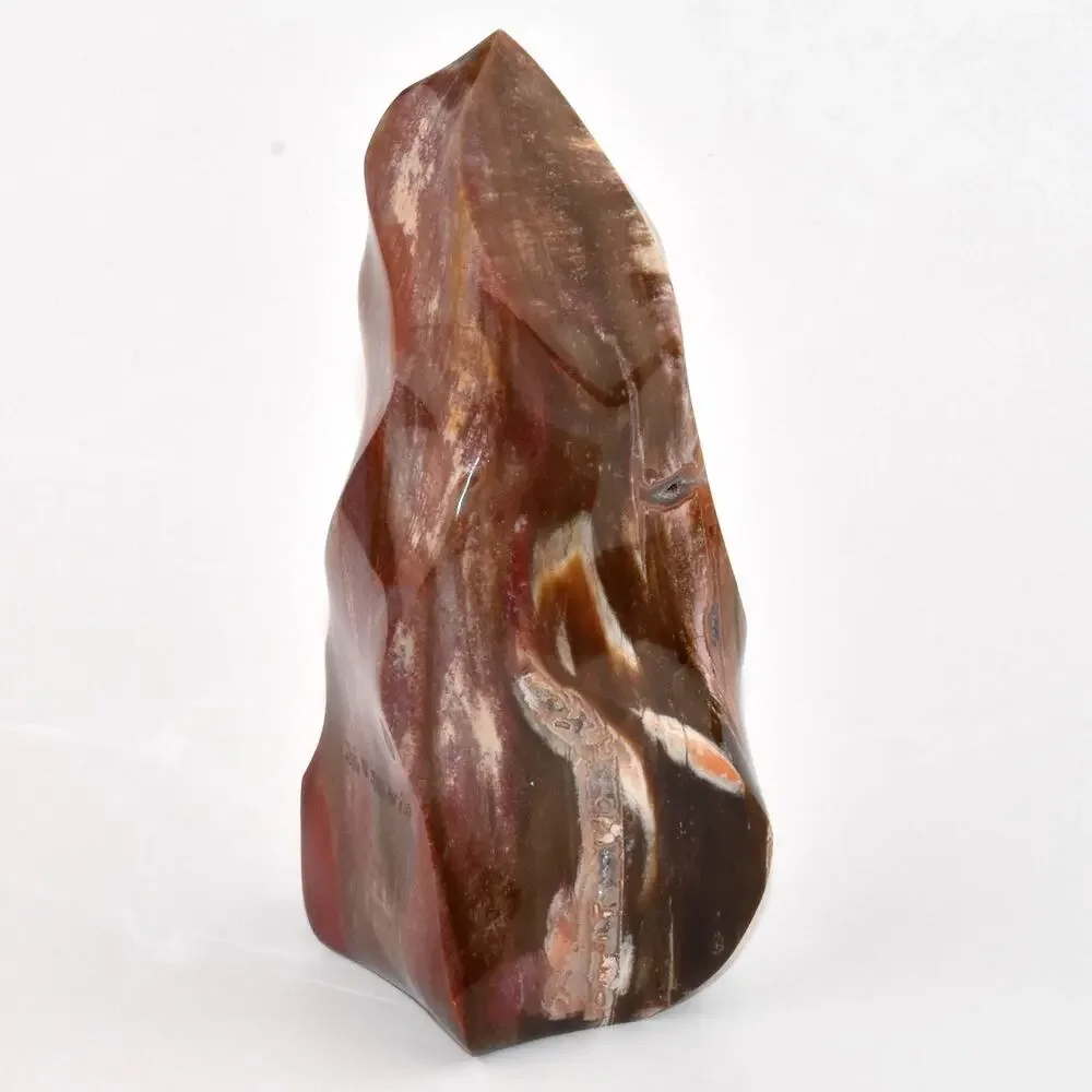 Petrified Wood Flame | Stone Fossil Home Decor Art Piece